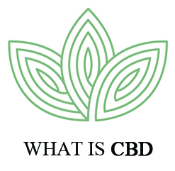 What is CBD Oil